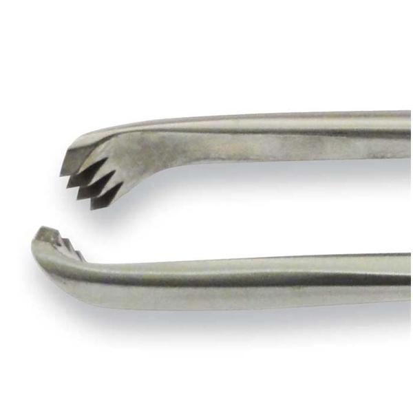 Forcep Tenaculum Teale 9-3/4
